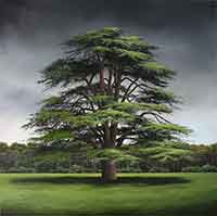 Rona Gallery
